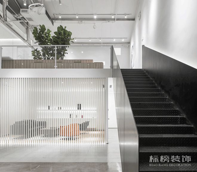 办公室植物摆放植物有哪些，怎么摆放比较好？